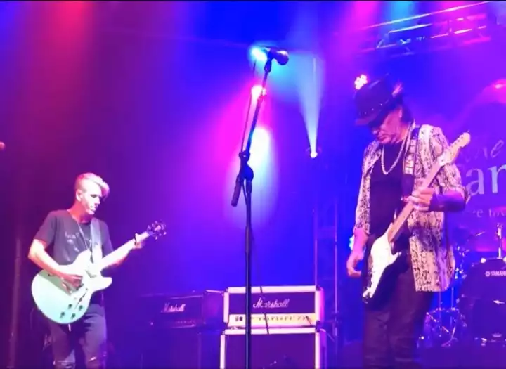 Guitarist: Top 40 and platinum artist credited