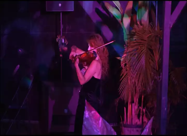 Solo Violin - world class quality