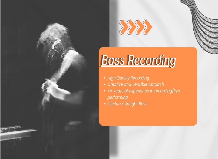 High Quality Groovy Basslies for your tracks