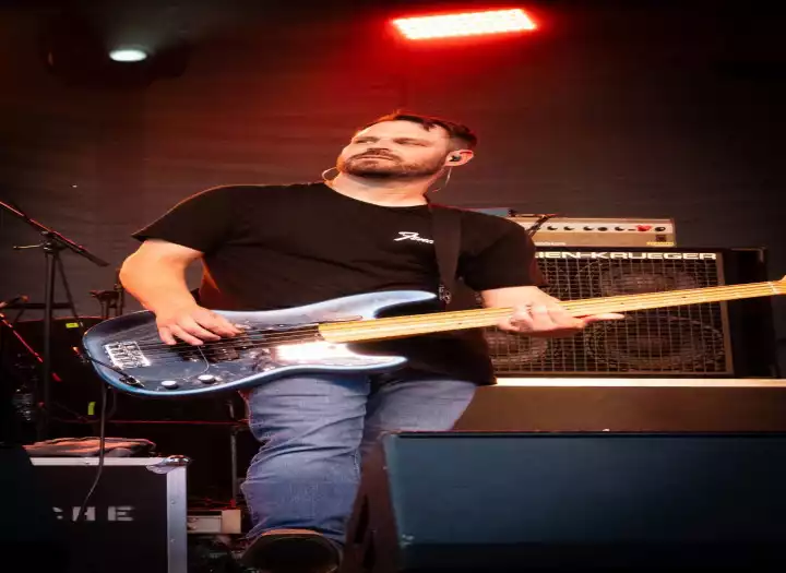 I will record professional rock, blues & country bass tracks for your song